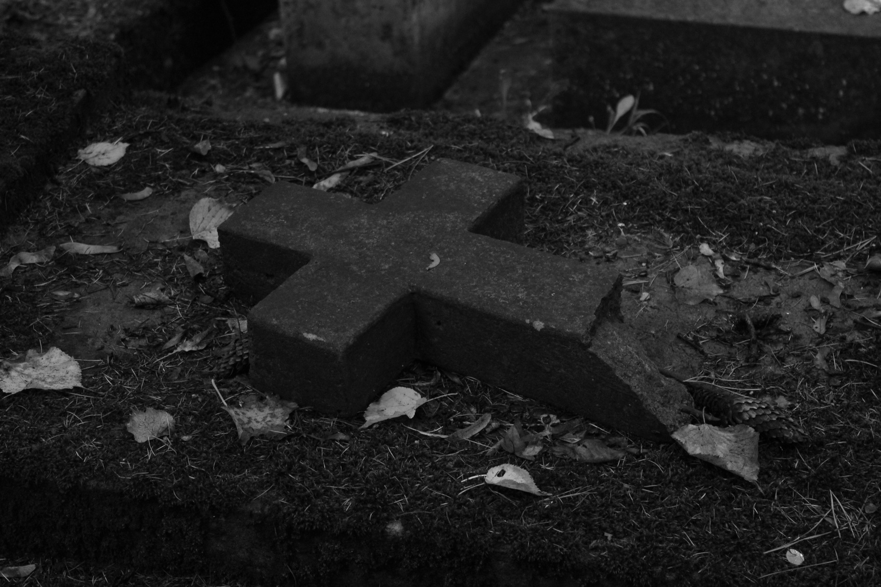 Horror/Cemetery